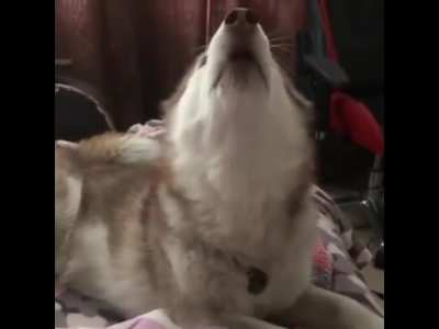 roooooOooOoOOOOAAAAAAHHH