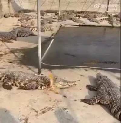 Denied