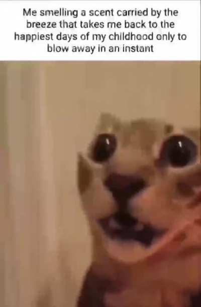 &bull;&bull;