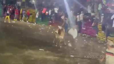 Bulls have an uncanny ability to flip people onto their necks.