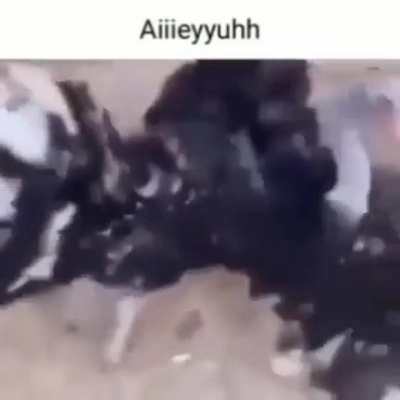 AIIEEEYYUUUUUUHHH