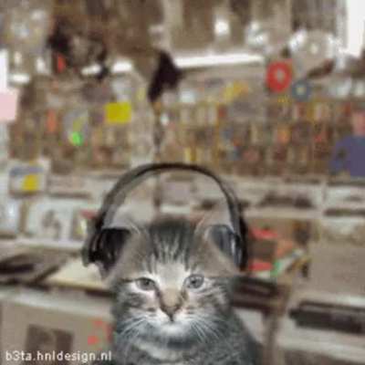 [OC] Drum&amp;amp;Cats