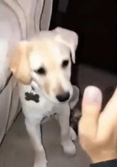 Nomph