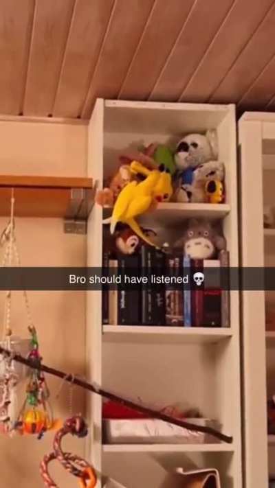 It&rsquo;s the little birdie scream of regret for me 