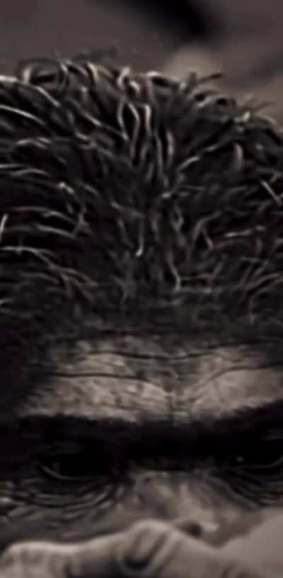 WTF is that????