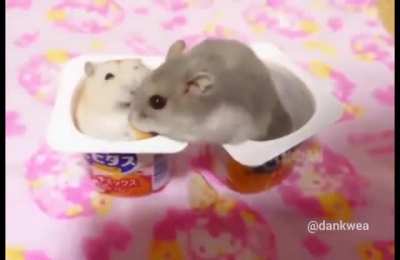 Cuties
