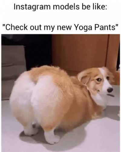 hm yes pants