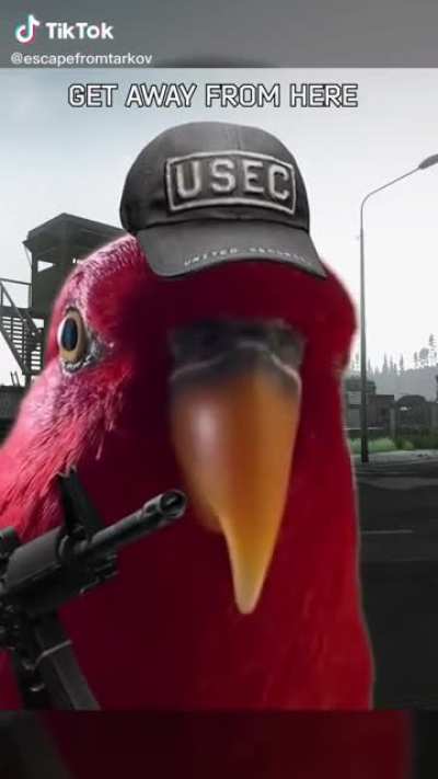 Tarkovs official TikTok is amazingly well made