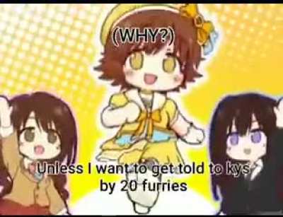 Furry_irl