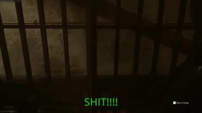 POV you are Pekora