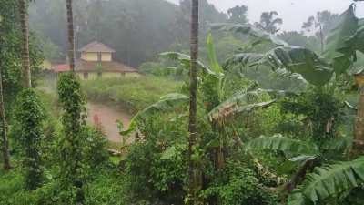 Monsoon rain in India