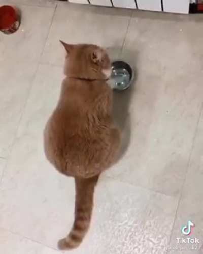 This bowl isn&rsquo;t gonna fill itself