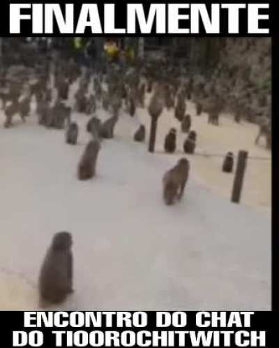 Imagino todos do chat assim