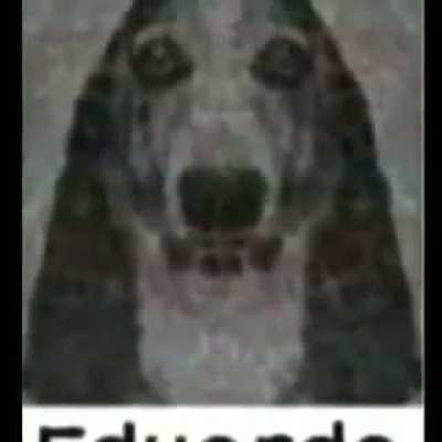 EDUARDO