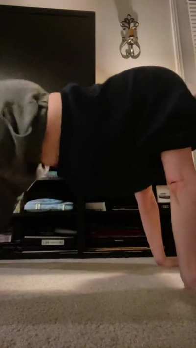 Lindsey Shaw