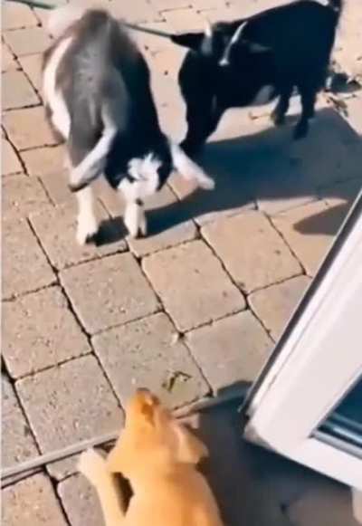 Maybe Maybe Maybe
