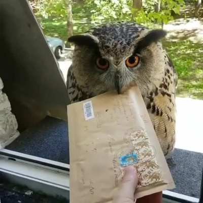 Special delivery