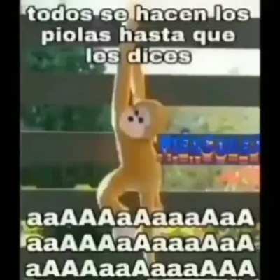 Cr&eacute;ditos a @ayuda_xfavoor de instagram