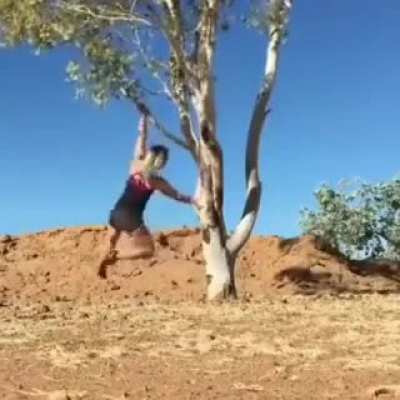 Some gymnastics in nature