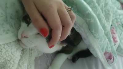 Mrr. Ehh. Mrr