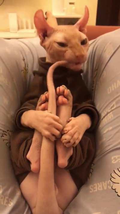 I&rsquo;d surely chew on my tail if I had one