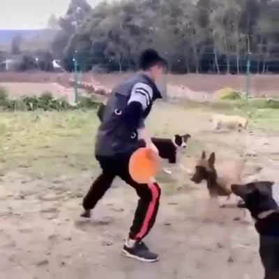 A man and his dog showcase some tricks