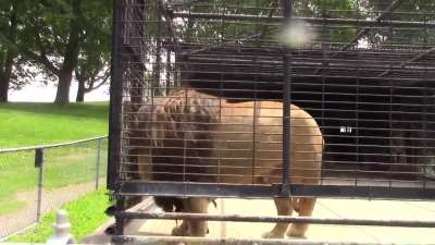 Fuck zoos