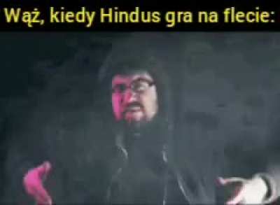 Te kocie ruchy