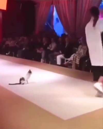 Slap the model.
