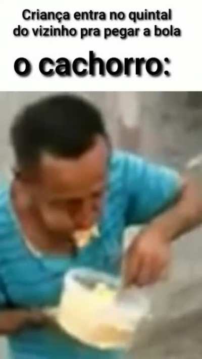 Me desculpem pelo &acirc;ngulo do v&iacute;deo 😔