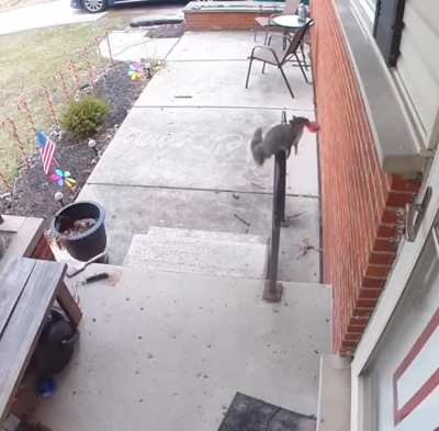 What a nice neighbor