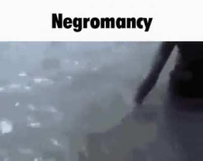 xDD