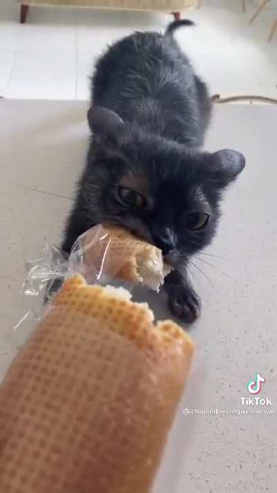 THIEF!