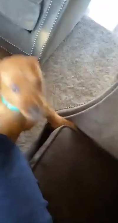 hehe
