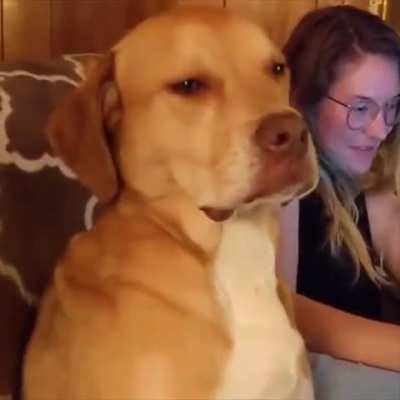 When you&rsquo;re over 40 and the movie starts..