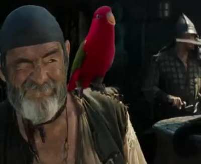 Best pirate I&rsquo;ve ever seen.