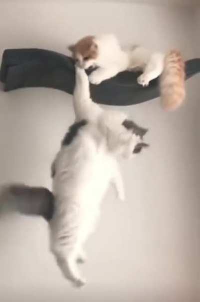 Simba noooooo