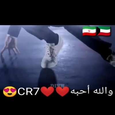 Inshallah Bicho