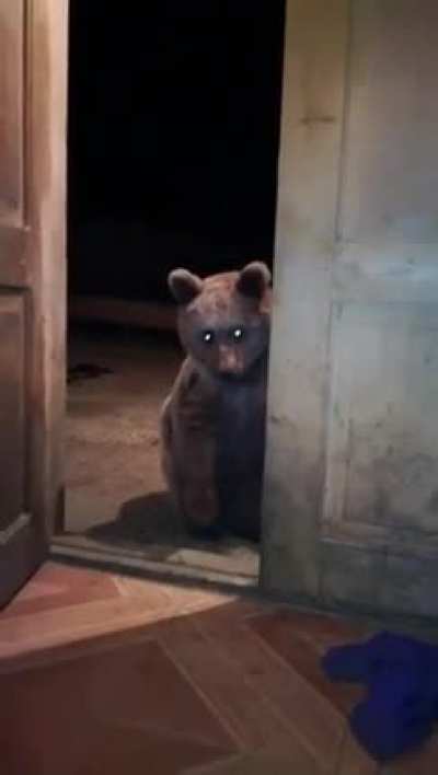 Unexpected Visitor!