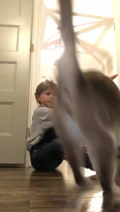 My daughter has a way with animals; she&rsquo;s taught Charlie to jump.