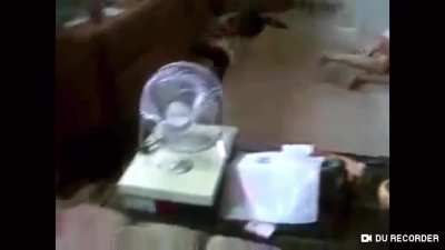 Mom shows daughter who runs the house