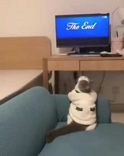 Котик