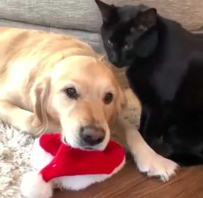 When you&rsquo;re not in the mood for kisses.
