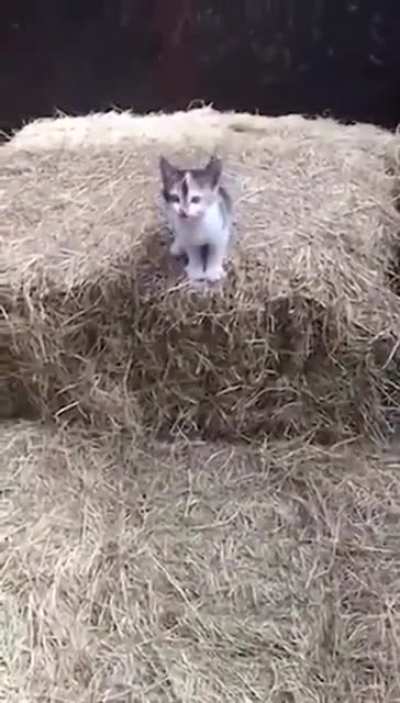 Wait for it Wait for it 😁