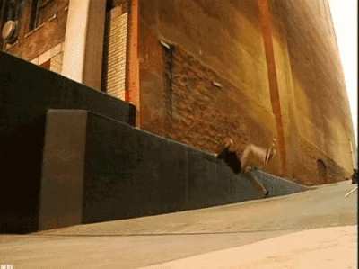 A trick gone wrong