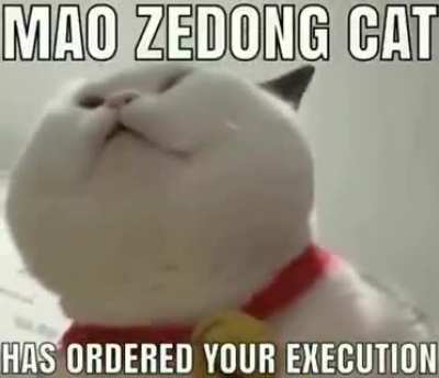 毛主席