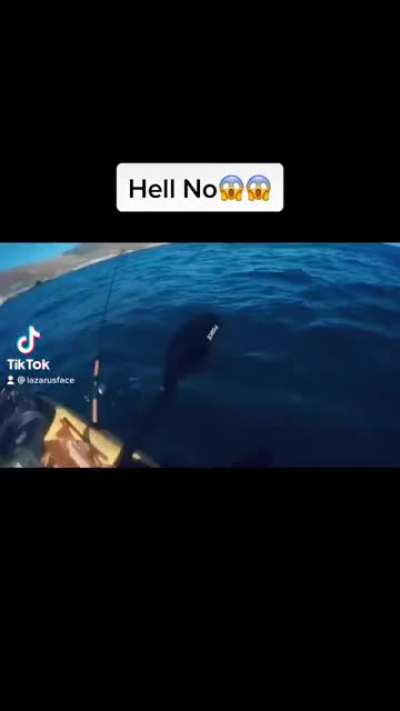 Shark was tryin :X