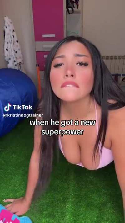 @kristindogtrainer