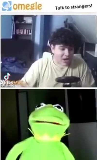 This 🐸 is a menace