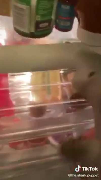 I&rsquo;d cry if that was my fridge